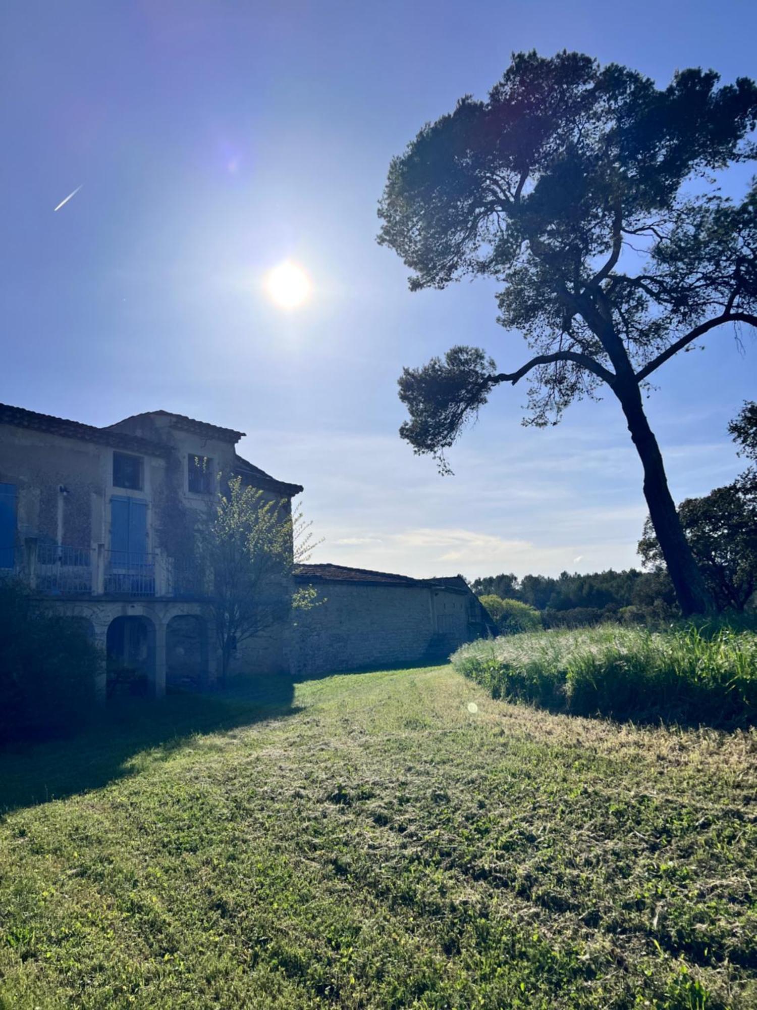 Le Mas Du Gentilhomme Chambre Lavande Orthoux-Sérignac-et-Quilhan 外观 照片